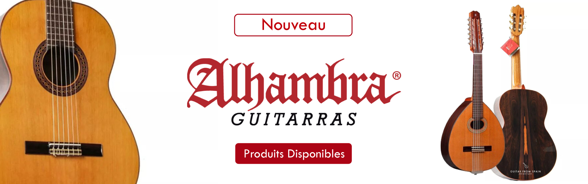 Guitares Alhambra en Algérie
