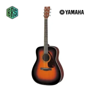 Guitare Folk Yamaha